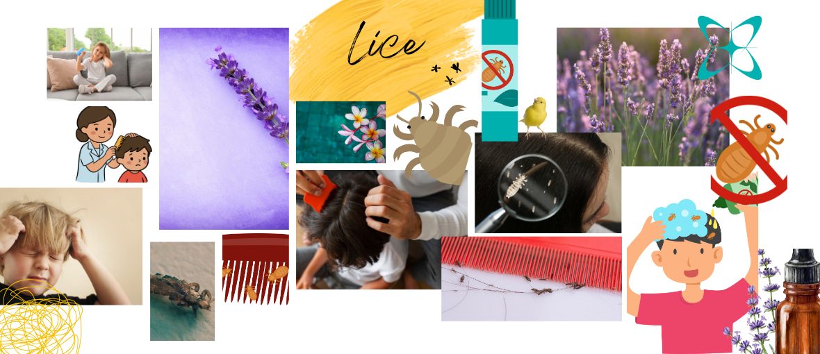 lice